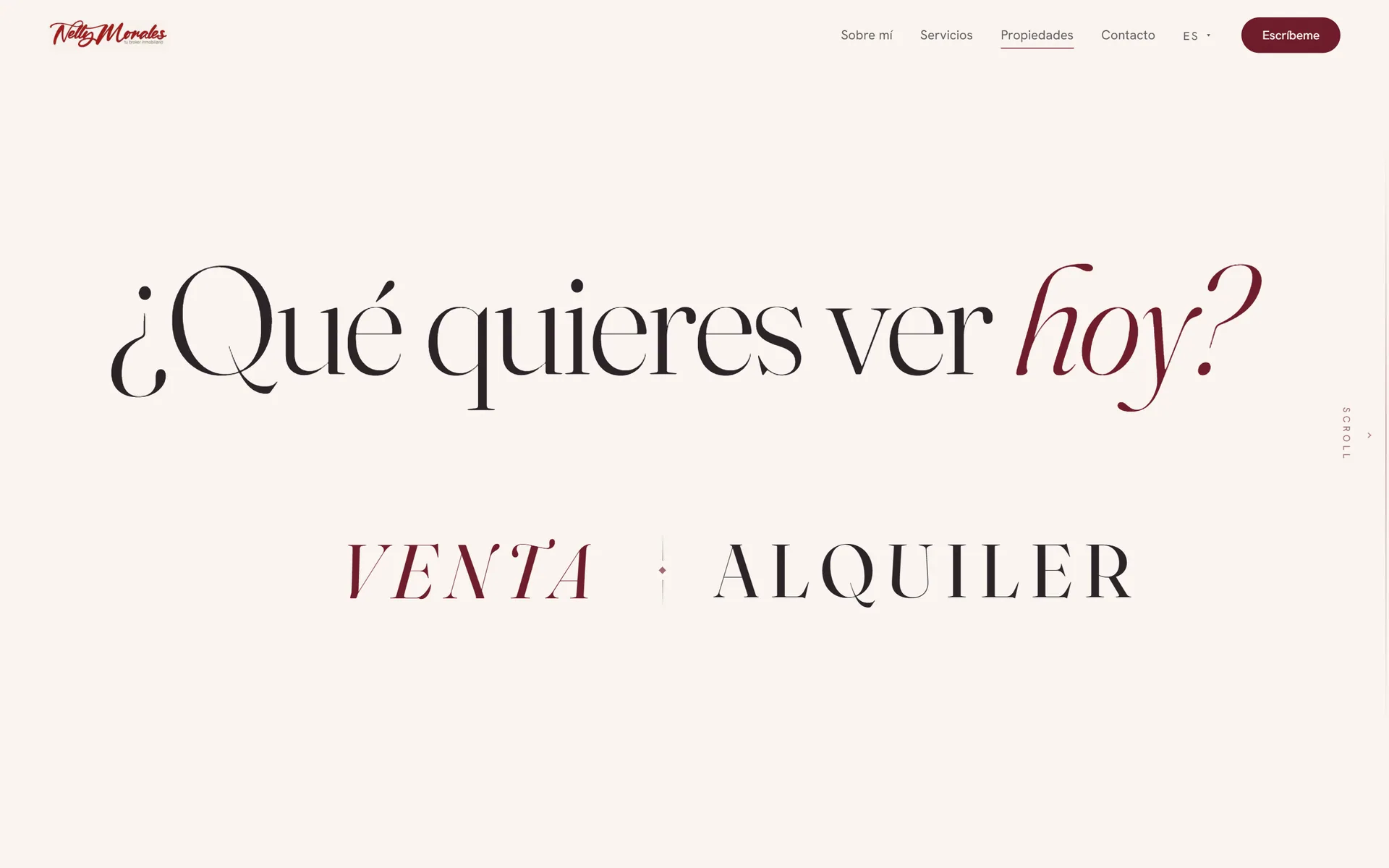 Properties entry page asking: ¿Qué quieres ver hoy? (what do you want to see today?) Venta or alquiler, sale or rent.